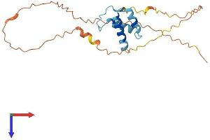 Oxidoreductase Like Domain Containing 1 (OXLD1) (AA 1-201) protein (His tag)