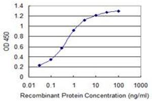 Detection limit for recombinant GST tagged WWP1 is 0. (WWP1 anticorps  (AA 152-260))