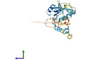 AlphaFold protein structure predicition of Human Recombinant SOCS3 Protein, UniprotID O14543