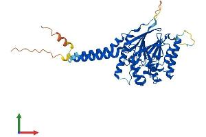 AlphaFold protein structure predicition of Human Recombinant MPPE1 Protein, UniprotID Q53F39