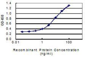 Detection limit for recombinant GST tagged HNF4A is 0. (HNF4A anticorps  (AA 324-423))