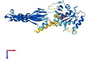 AlphaFold protein structure predicition of Mouse Recombinant Gtpbp10 Protein, UniprotID Q8K013
