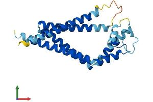 AlphaFold protein structure predicition of Mouse Recombinant Tspan2 Protein, UniprotID Q922J6