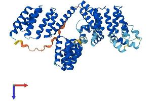 AlphaFold protein structure predicition of Mouse Recombinant Stip1 Protein, UniprotID Q60864