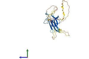 AlphaFold protein structure predicition of Mouse Recombinant Tcf19 Protein, UniprotID Q99KJ5