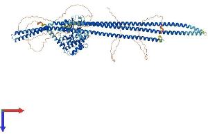 AlphaFold protein structure predicition of Human Recombinant TAOK1 Protein, UniprotID Q7L7X3