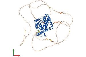 AlphaFold protein structure predicition of Human Recombinant EYA1 Protein, UniprotID Q99502