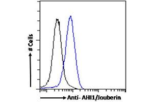 ABIN185303 Flow cytometric analysis of paraformaldehyde fixed HeLa cells (blue line), permeabilized with 0. (AHI1 anticorps  (N-Term))