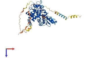 AlphaFold protein structure predicition of Mouse Recombinant Cdc14b Protein, UniprotID Q6PFY9