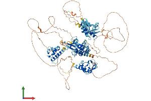 AlphaFold protein structure predicition of Human Recombinant GTF2IRD1 Protein, UniprotID Q9UHL9