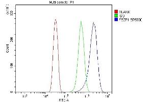 Flow Cytometry analysis of U20S cells using anti-FEZF1 antibody (ABIN7601763). (FEZF1 anticorps  (AA 45-258))