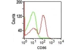 Flow cytometry testing of human PBMC using CD86 antibody (C86/1146). (CD86 anticorps)