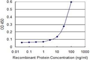 Detection limit for recombinant GST tagged TOP3B is 3 ng/ml as a capture antibody. (TOP3B anticorps  (AA 1-862))