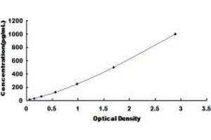 Typical standard curve