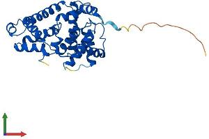 AlphaFold protein structure predicition of Mouse Recombinant Ccnc Protein, UniprotID Q62447