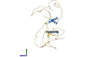 AlphaFold protein structure predicition of Human Recombinant PPHLN1 Protein, UniprotID Q8NEY8