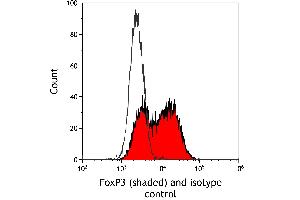 Flow Cytometry (FACS) image for anti-Forkhead Box P3 (FOXP3) (AA 275-325) antibody (ABIN7795682)