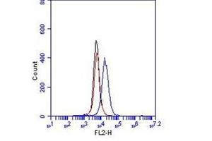 Flow Cytometry (FACS) image for anti-Cadherin 5 (CDH5) (Extracellular Domain) antibody (ABIN1105883) (Cadherin 5 anticorps  (Extracellular Domain))