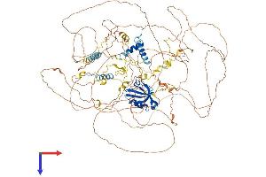 AlphaFold protein structure predicition of Human Recombinant SYNPO2 Protein, UniprotID Q9UMS6