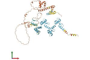 AlphaFold protein structure predicition of Human Recombinant ZNF285 Protein, UniprotID Q96NJ3