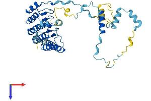 AlphaFold protein structure predicition of Mouse Recombinant Tmod1 Protein, UniprotID P49813