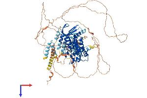 AlphaFold protein structure predicition of Mouse Recombinant Ttk Protein, UniprotID P35761