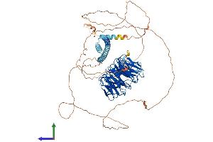 AlphaFold protein structure predicition of Mouse Recombinant Tle1 Protein, UniprotID Q62440