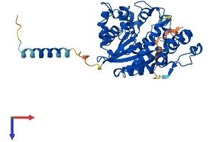 AlphaFold protein structure predicition of Mouse Recombinant Chst5 Protein, UniprotID Q9QUP4