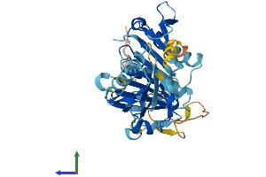 AlphaFold protein structure predicition of Mouse Recombinant Capg Protein, UniprotID P24452
