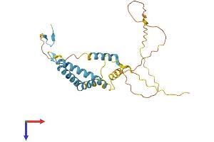 AlphaFold protein structure predicition of Mouse Recombinant Ociad1 Protein, UniprotID Q9CRD0