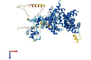 AlphaFold protein structure predicition of Mouse Recombinant Thap12 Protein, UniprotID Q9CUX1