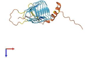 AlphaFold protein structure predicition of Mouse Recombinant Dctn6 Protein, UniprotID Q9WUB4