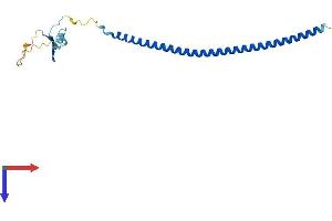 Stathmin-Like 4 (STMN4) (AA 1-189) protein (His tag)