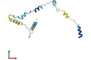 AlphaFold protein structure predicition of Mouse Recombinant Rps19bp1 Protein, UniprotID Q8C6B9