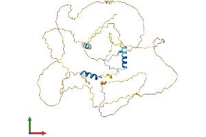 AlphaFold protein structure predicition of Human Recombinant GPBP1 Protein, UniprotID Q86WP2