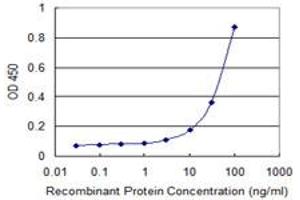 anti-WD Repeat Domain 83 (wdr83) (AA 171-262) antibody