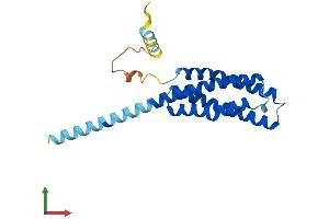 AlphaFold protein structure predicition of Mouse Recombinant Tmem17 Protein, UniprotID Q8K0U3