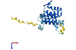 AlphaFold protein structure predicition of Mouse Recombinant Derl3 Protein, UniprotID Q9D8K3