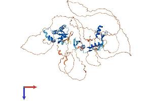 AlphaFold protein structure predicition of Mouse Recombinant Zbtb33 Protein, UniprotID Q8BN78