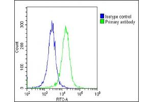 Overlay histogram showing Hela cells stained with (green line). (SH2B3 anticorps  (AA 67-101))