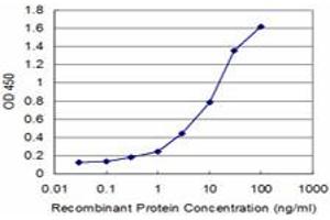 Detection limit for recombinant GST tagged RPS29 is approximately 0.
