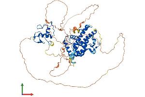 AlphaFold protein structure predicition of Mouse Recombinant Nr4a1 Protein, UniprotID P12813