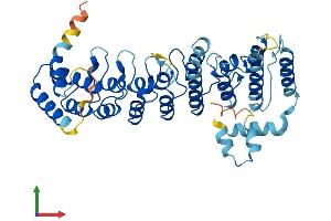 AlphaFold protein structure predicition of Mouse Recombinant Asb6 Protein, UniprotID Q91ZU1