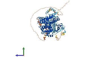 AlphaFold protein structure predicition of Human Recombinant PDE11A Protein, UniprotID Q9HCR9