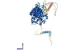AlphaFold protein structure predicition of Human Recombinant TYW1 Protein, UniprotID Q9NV66