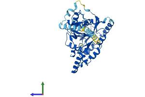 AlphaFold protein structure predicition of Mouse Recombinant B3gnt5 Protein, UniprotID Q8BGY6