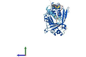 AlphaFold protein structure predicition of Mouse Recombinant Kmo Protein, UniprotID Q91WN4