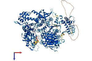 AlphaFold protein structure predicition of Mouse Recombinant Aqr Protein, UniprotID Q8CFQ3