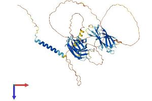 AlphaFold protein structure predicition of Mouse Recombinant Syt14 Protein, UniprotID Q7TN84