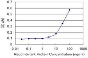 Detection limit for recombinant GST tagged PHKG2 is approximately 3ng/ml as a capture antibody. (PHKG2 anticorps  (AA 1-406))